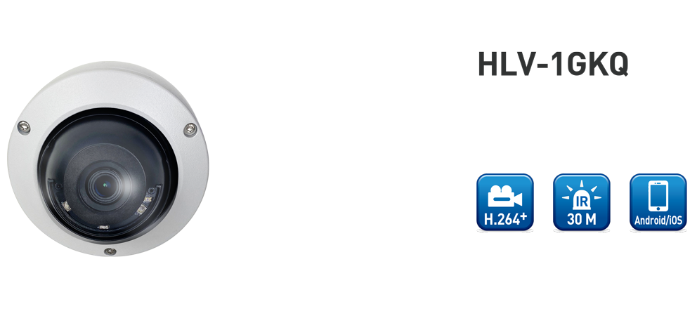 HLV-1GKQ 1